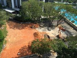 The Cape (D15), Apartment #113581062